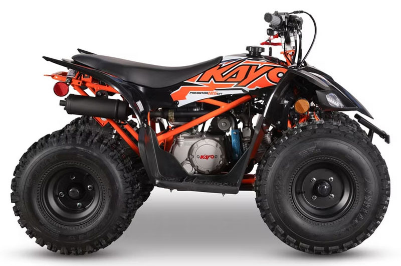 2026 Kayo Predator 125 EFI in warren OH