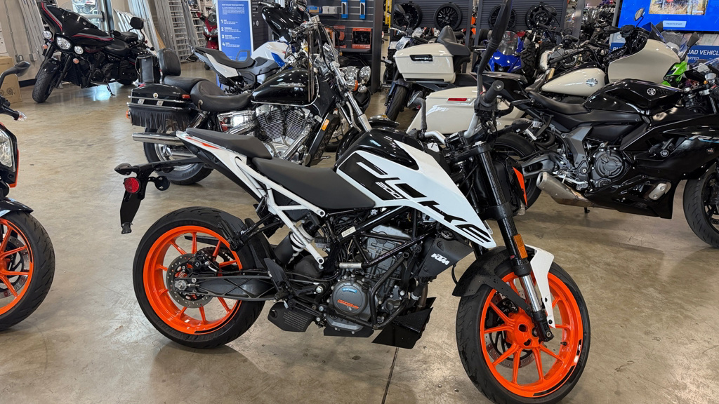 2020 KTM Duke 200 DUKE in Sublimity, OR