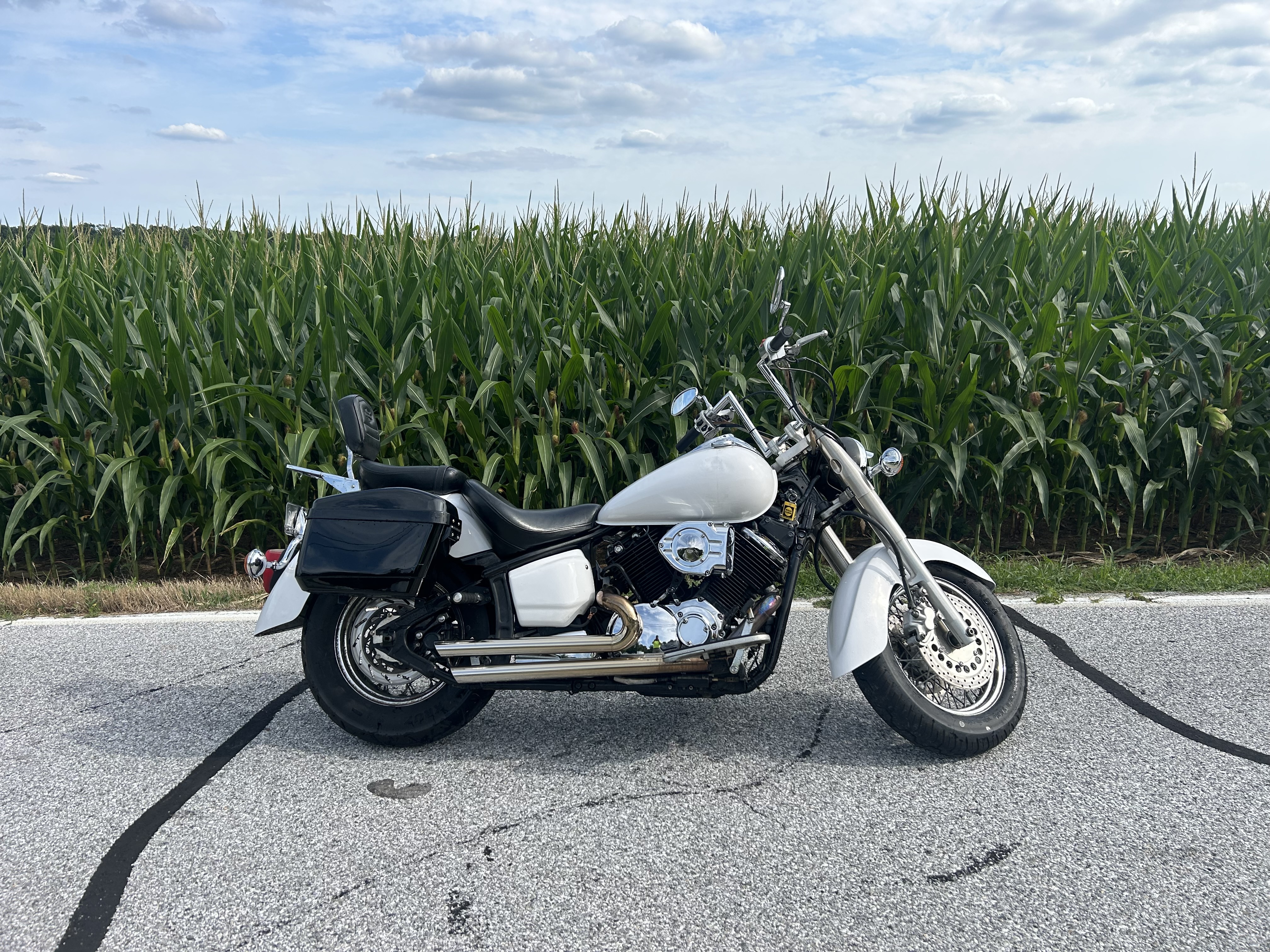 2000 Yamaha V STAR 1100 CLASSIC CLASSIC in Spring Grove, PA