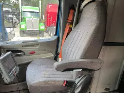 2019 PETERBILT 579