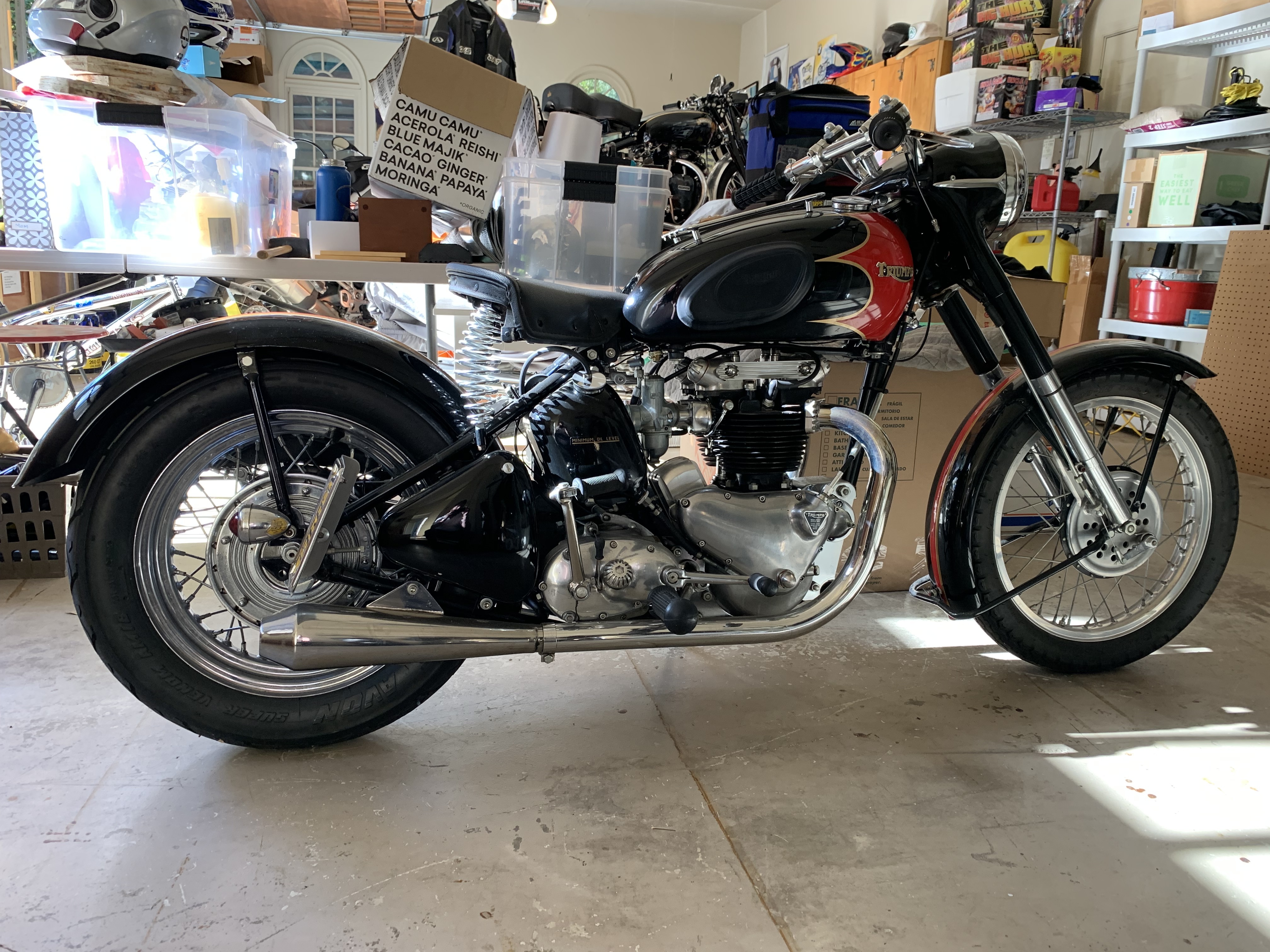 1953 Triumph THUNDERBIRD SPECIAL EDITION SPECIAL EDITION in Great Falls, VA