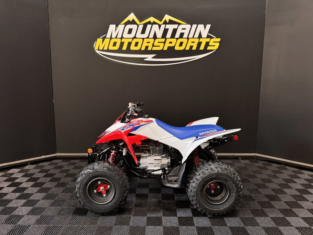 2026 Honda TRX 250X in oxford AL