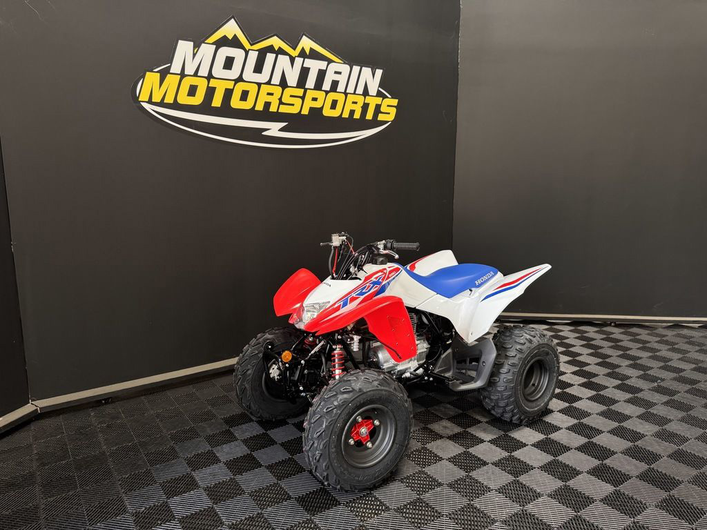 2026 Honda TRX 250X in oxford AL