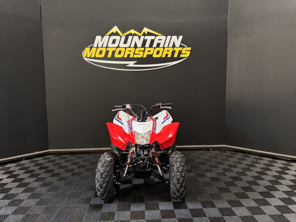 2026 Honda TRX 250X in oxford AL