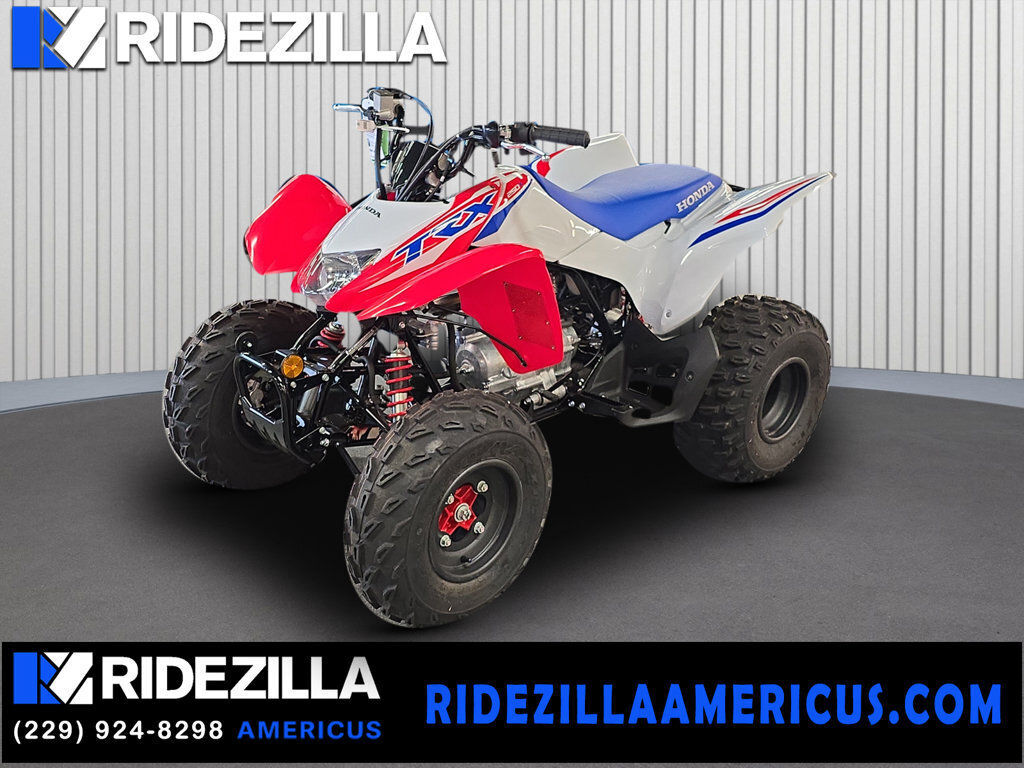 2026 Honda® TRX250X in americus GA