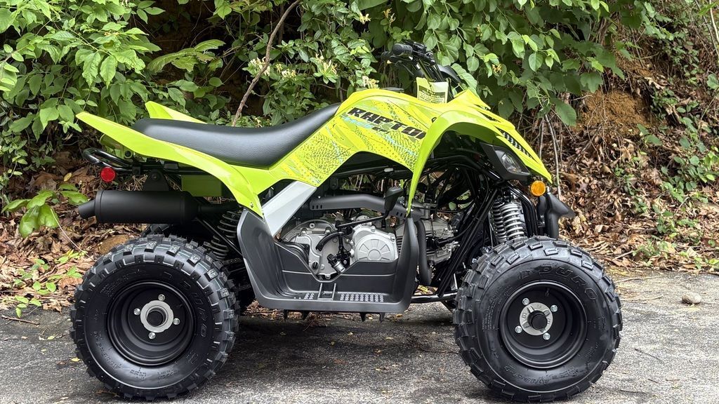 2026 Yamaha Raptor 110 in waynesboro VA