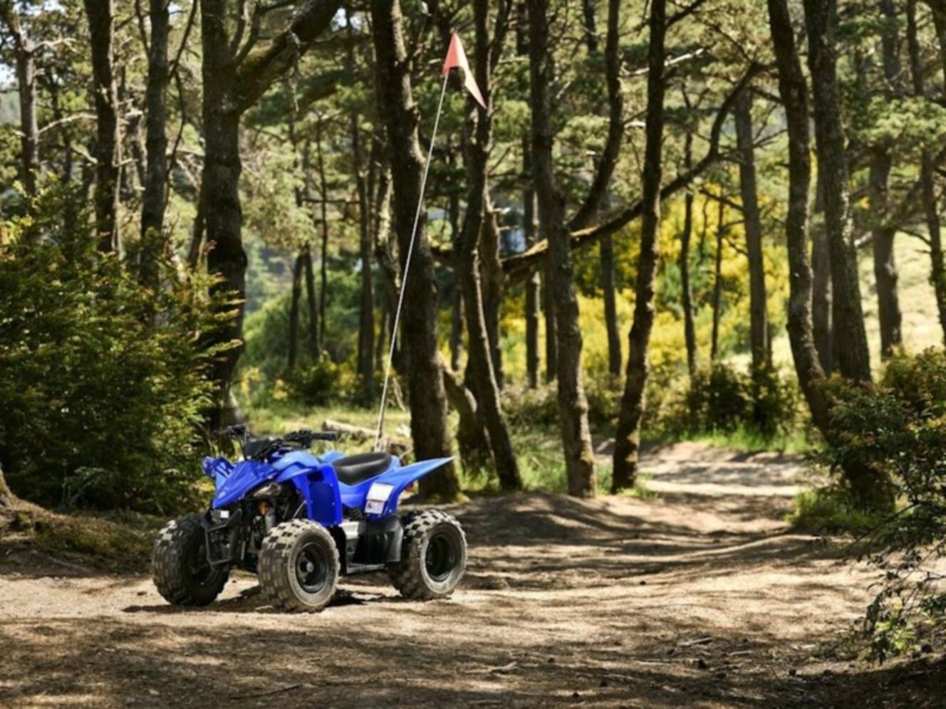 A photo of this 2026 Yamaha YFZ50