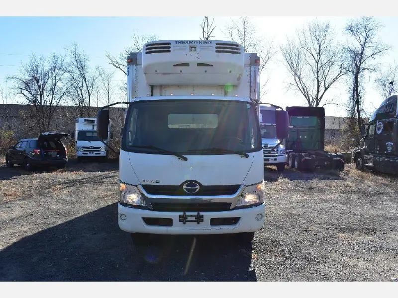 2016 HINO 195