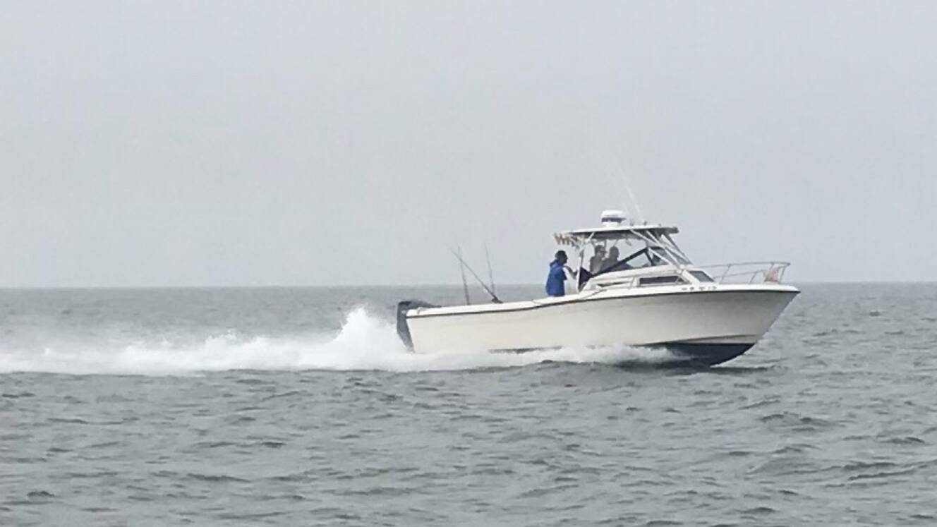 A photo of this 1985 Grady-White 240 OFFSHORE
