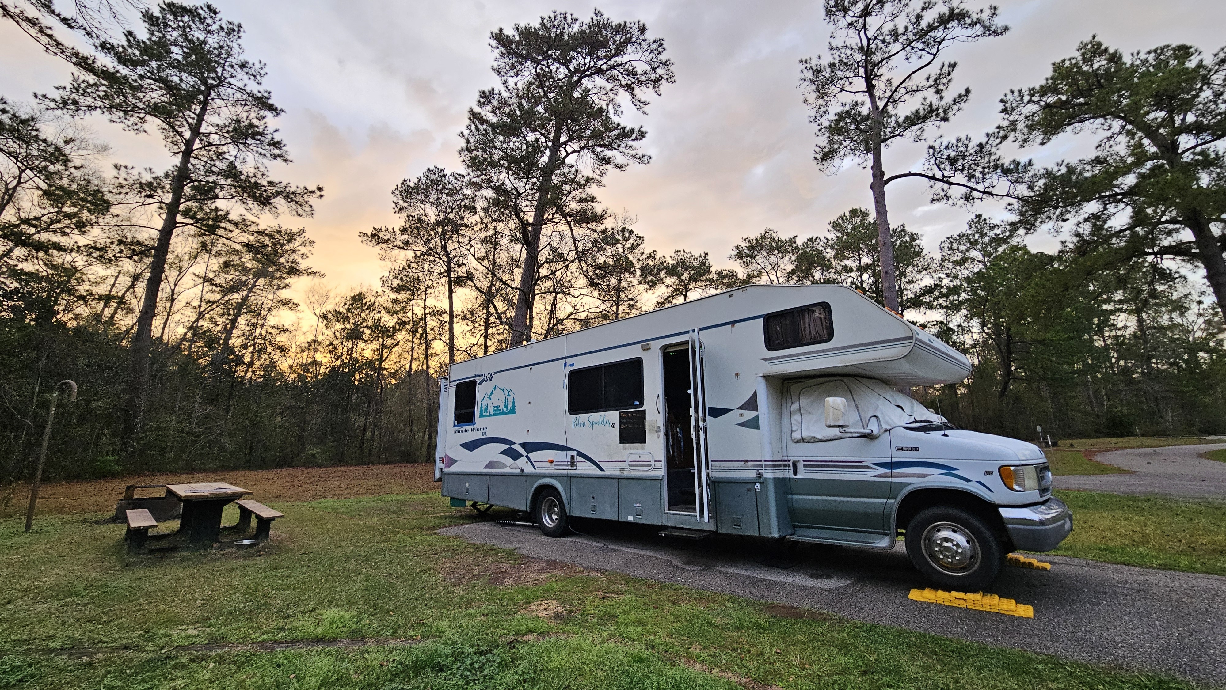 1998 Winnebago MINNIE WINNIE 31WS in livingston TX