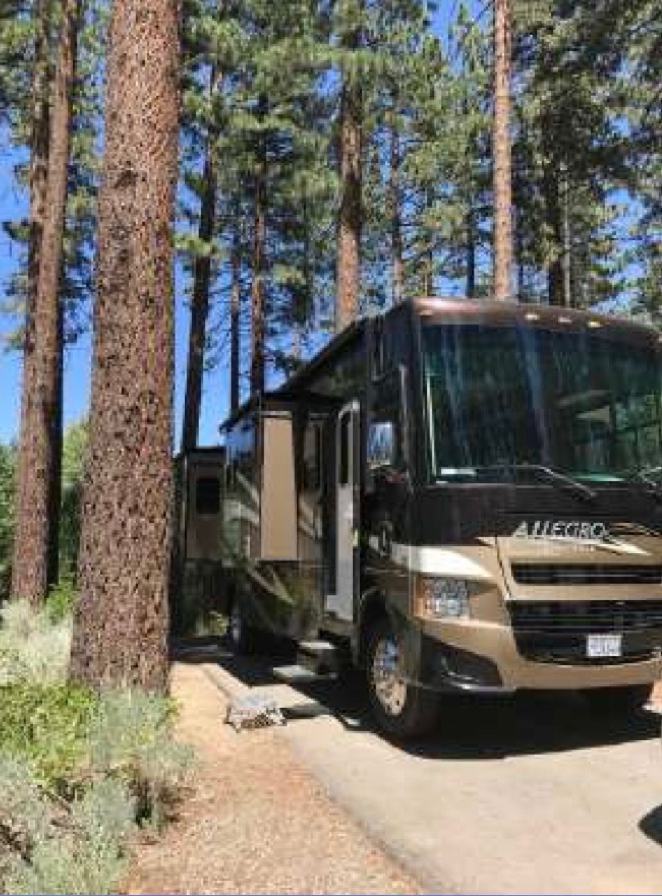 2014 Tiffin Motorhomes ALLEGRO OPEN ROAD 34TGA in auburn CA