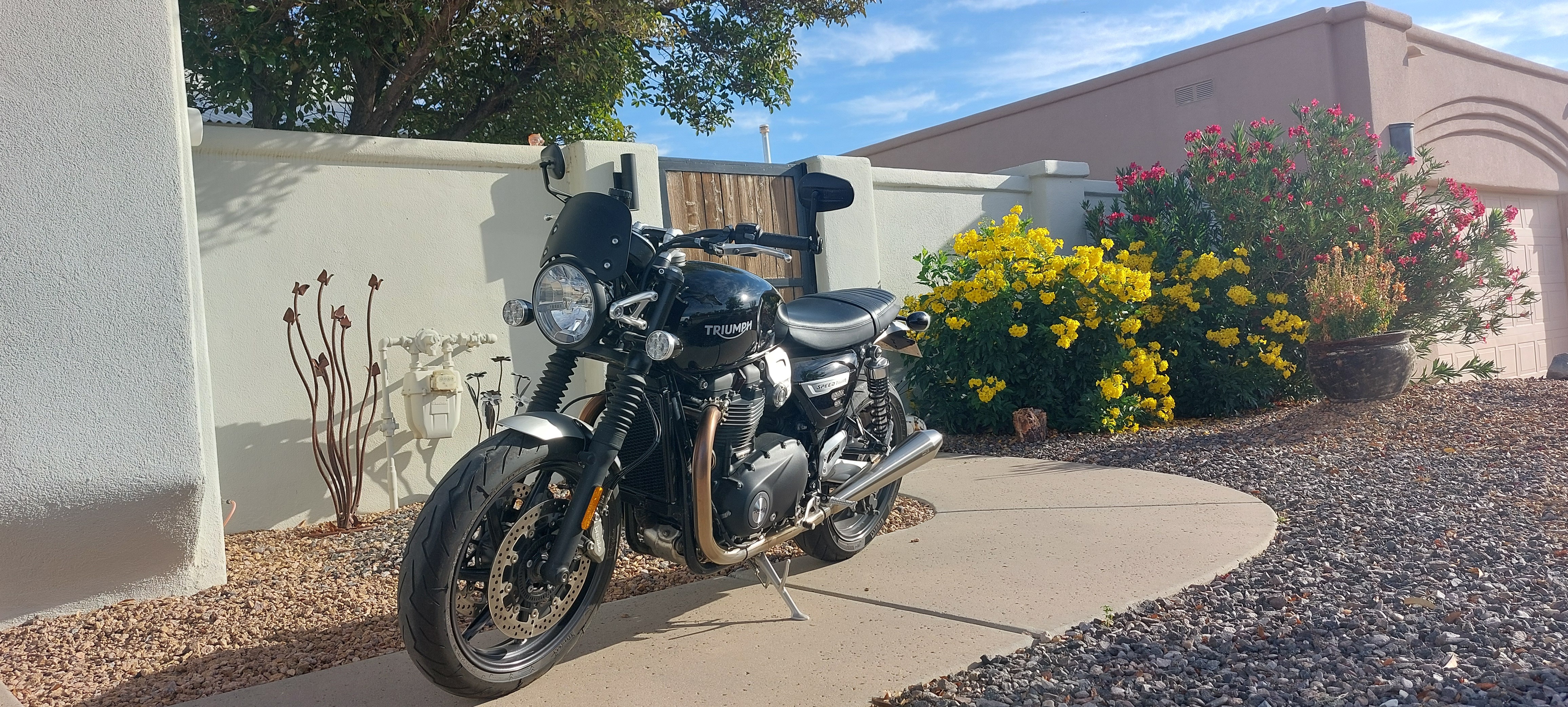 2019 Triumph SPEED TWIN BASE BASE in Las Cruces, NM