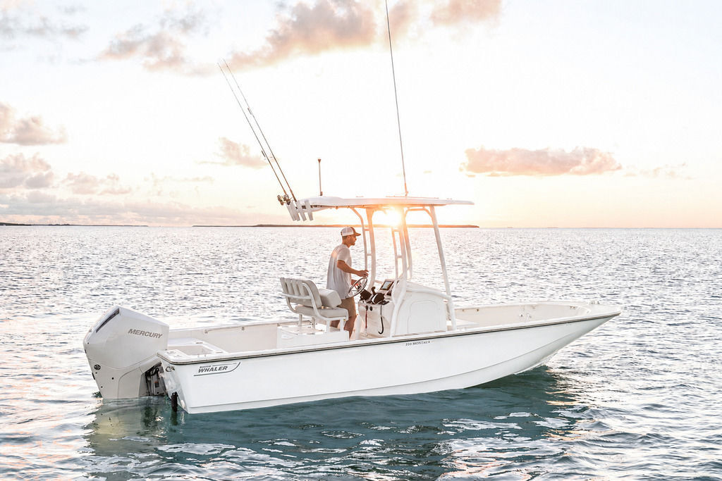 2026 Boston Whaler 210 Montauk in miami FL