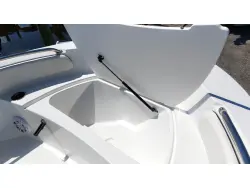 2027 Stingray 17 CC