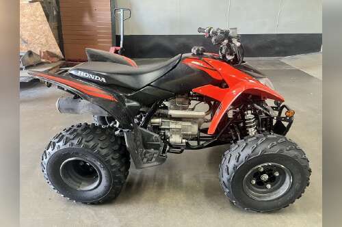 2024 Honda® TRX250X in beaumont TX