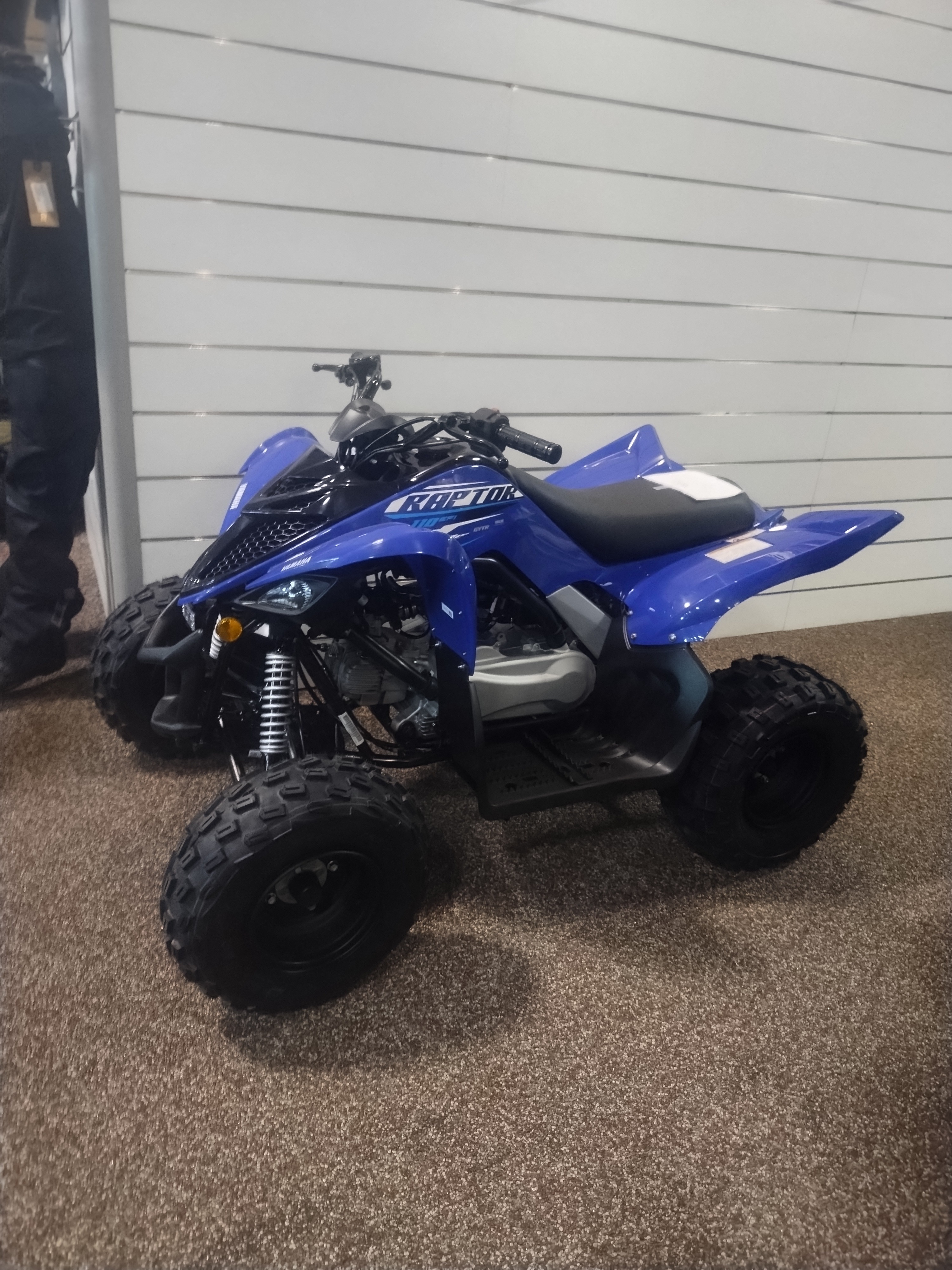 2026 Yamaha Raptor 110 in bear DE