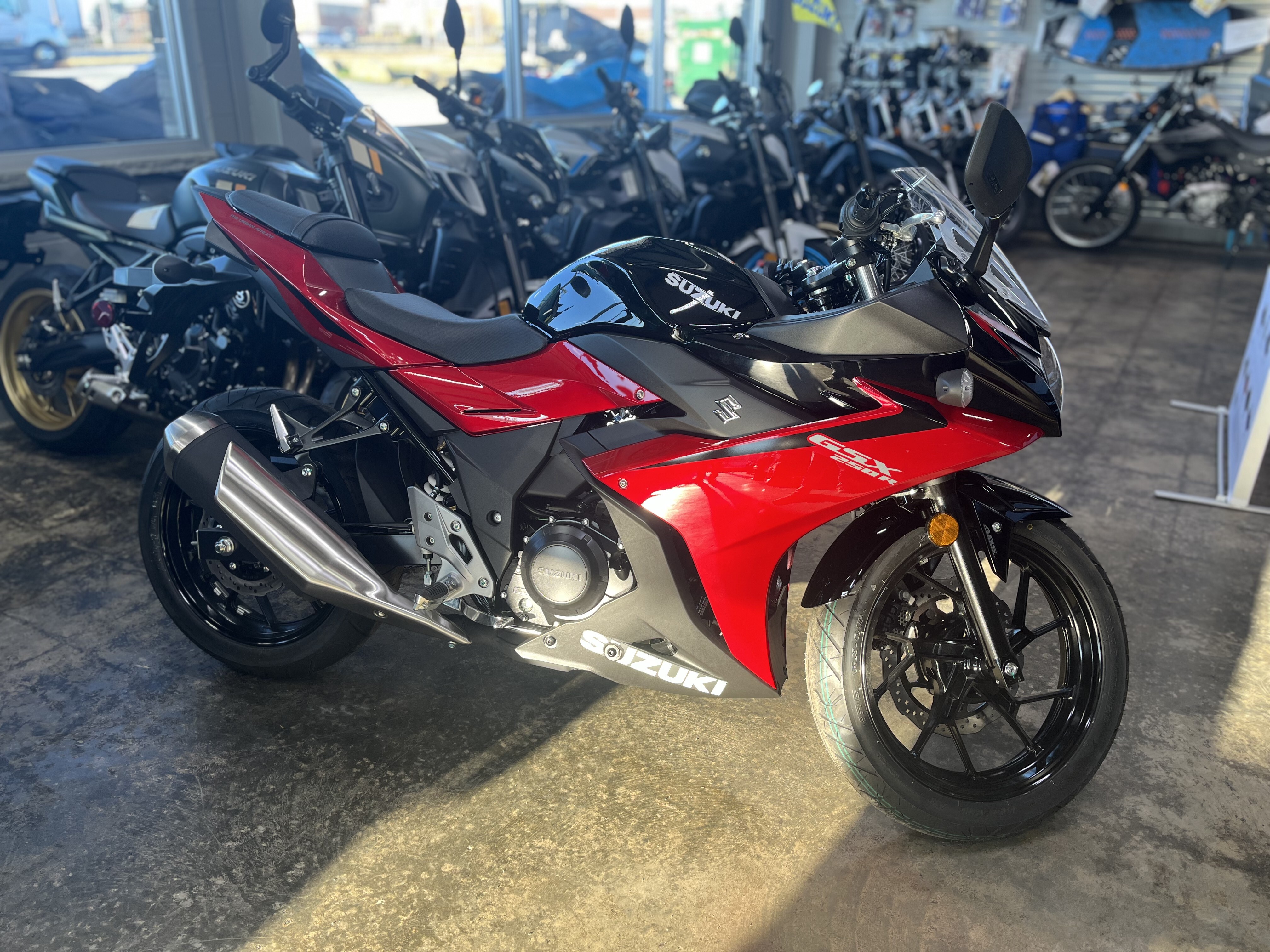 2025 Suzuki GSX250R ABS 250R in Albemarle, NC
