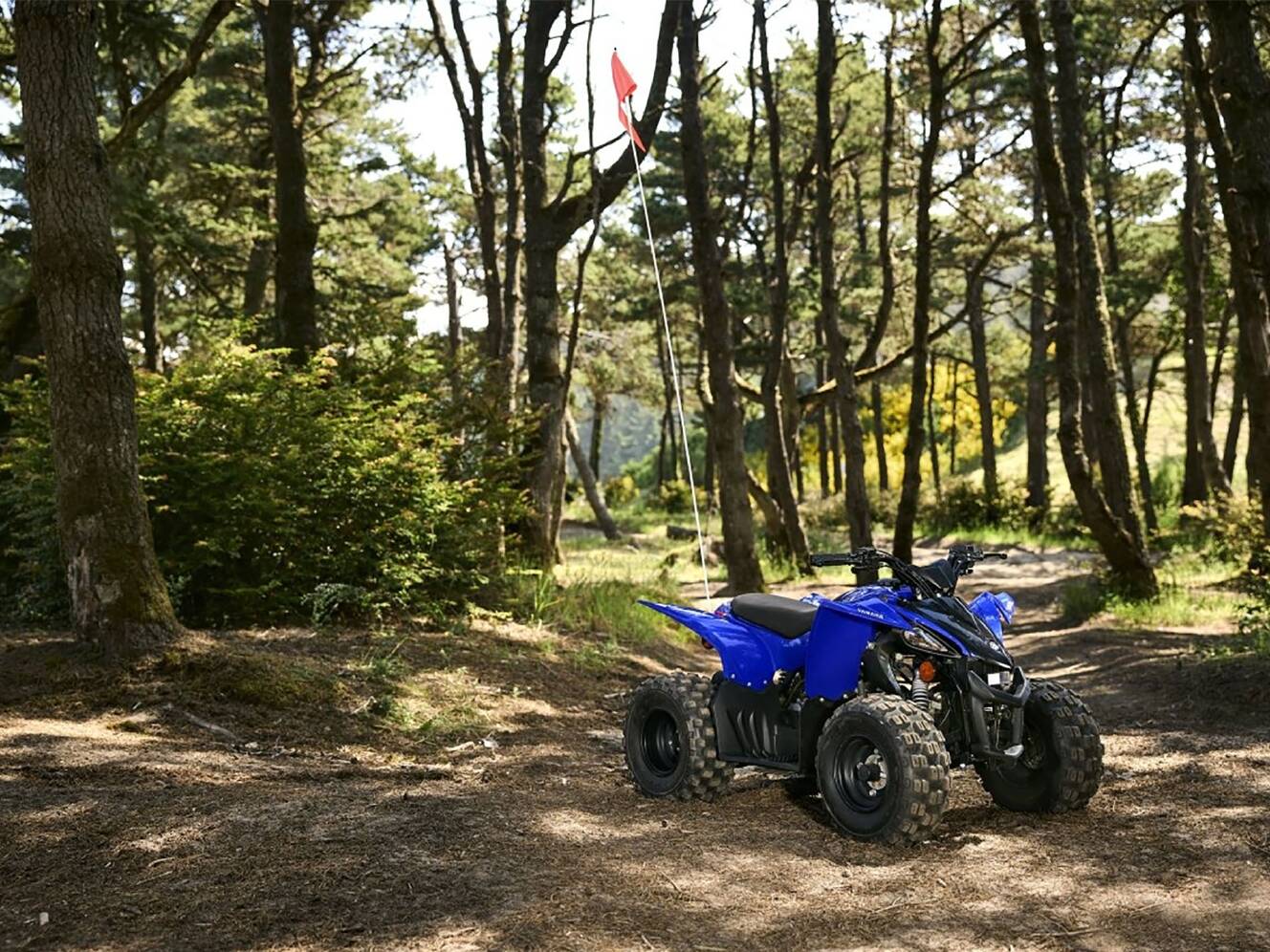 A photo of this 2025 Yamaha YFZ50