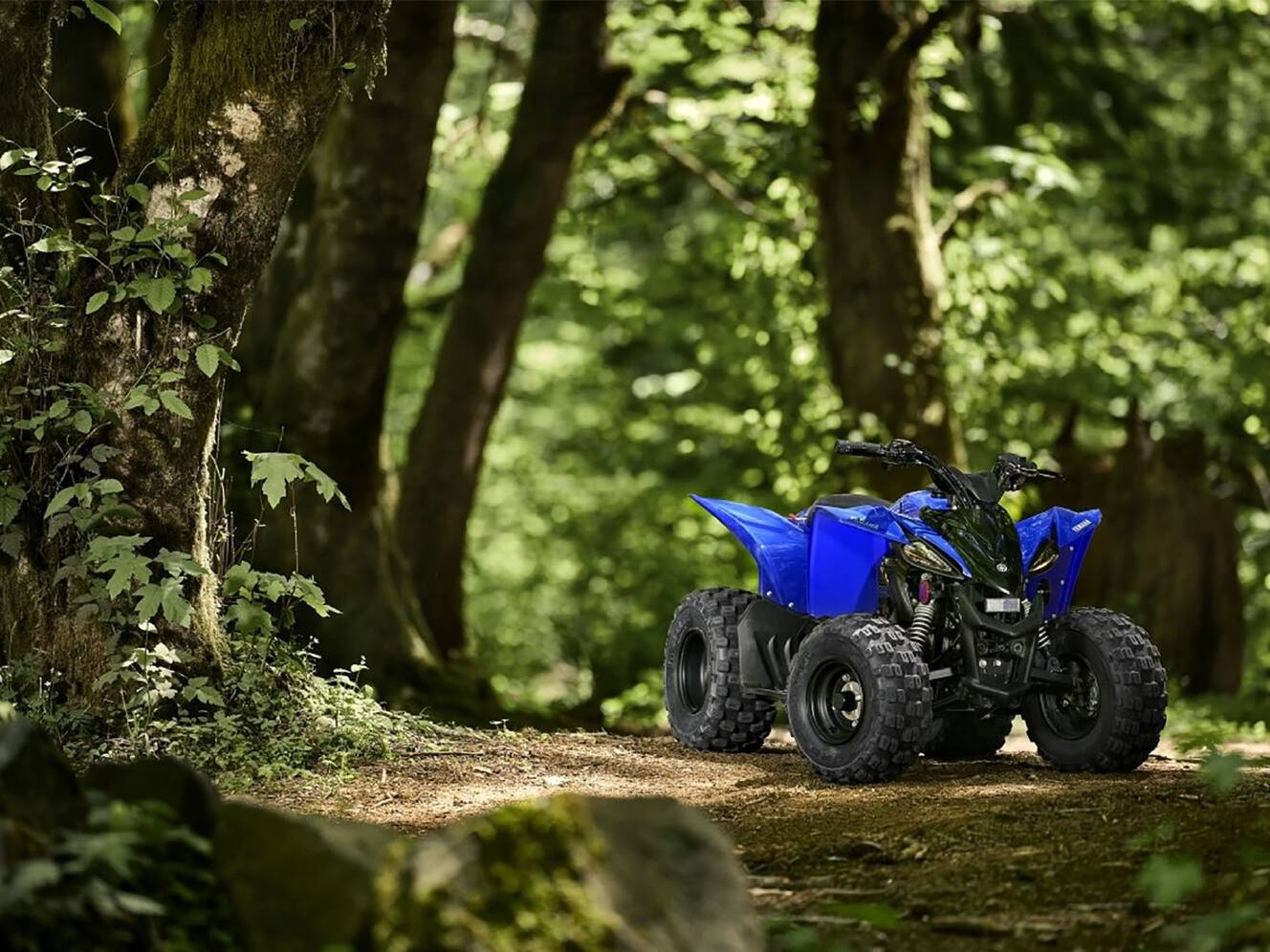 A photo of this 2025 Yamaha YFZ50