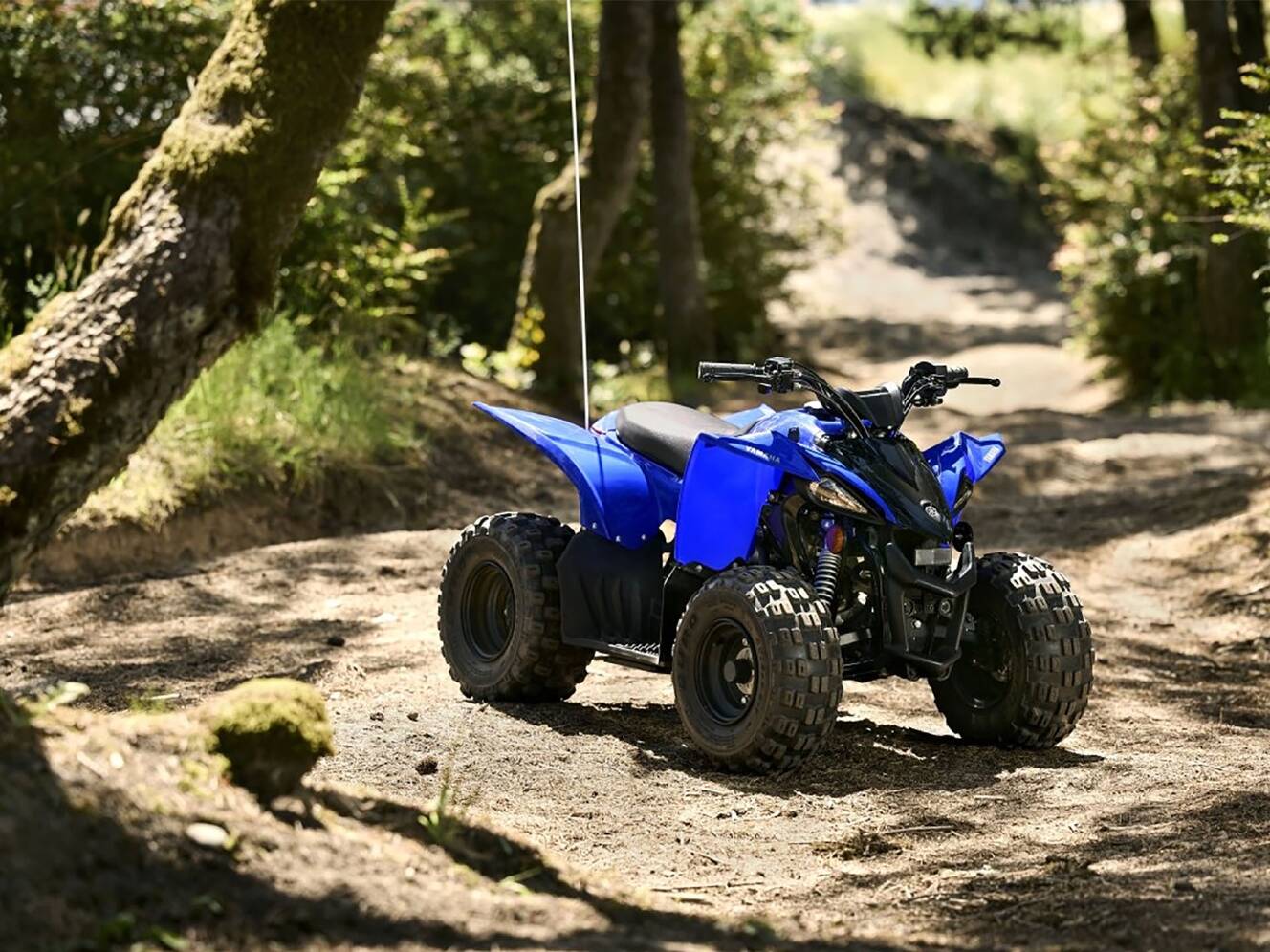 A photo of this 2025 Yamaha YFZ50