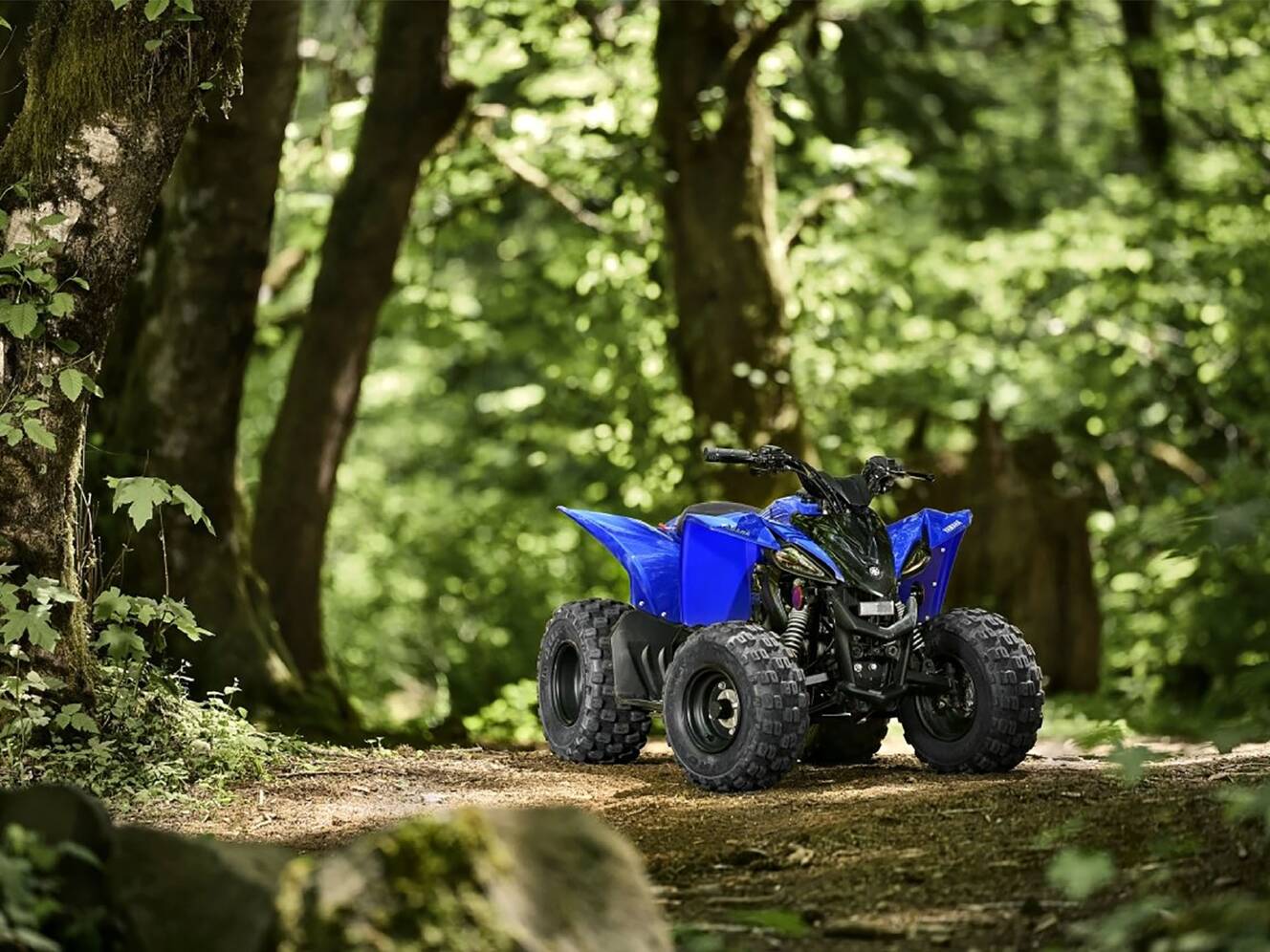A photo of this 2025 Yamaha YFZ50