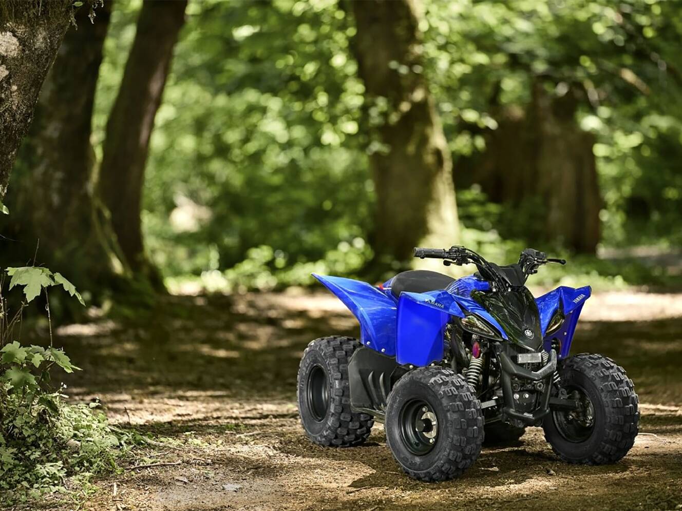 A photo of this 2025 Yamaha YFZ50