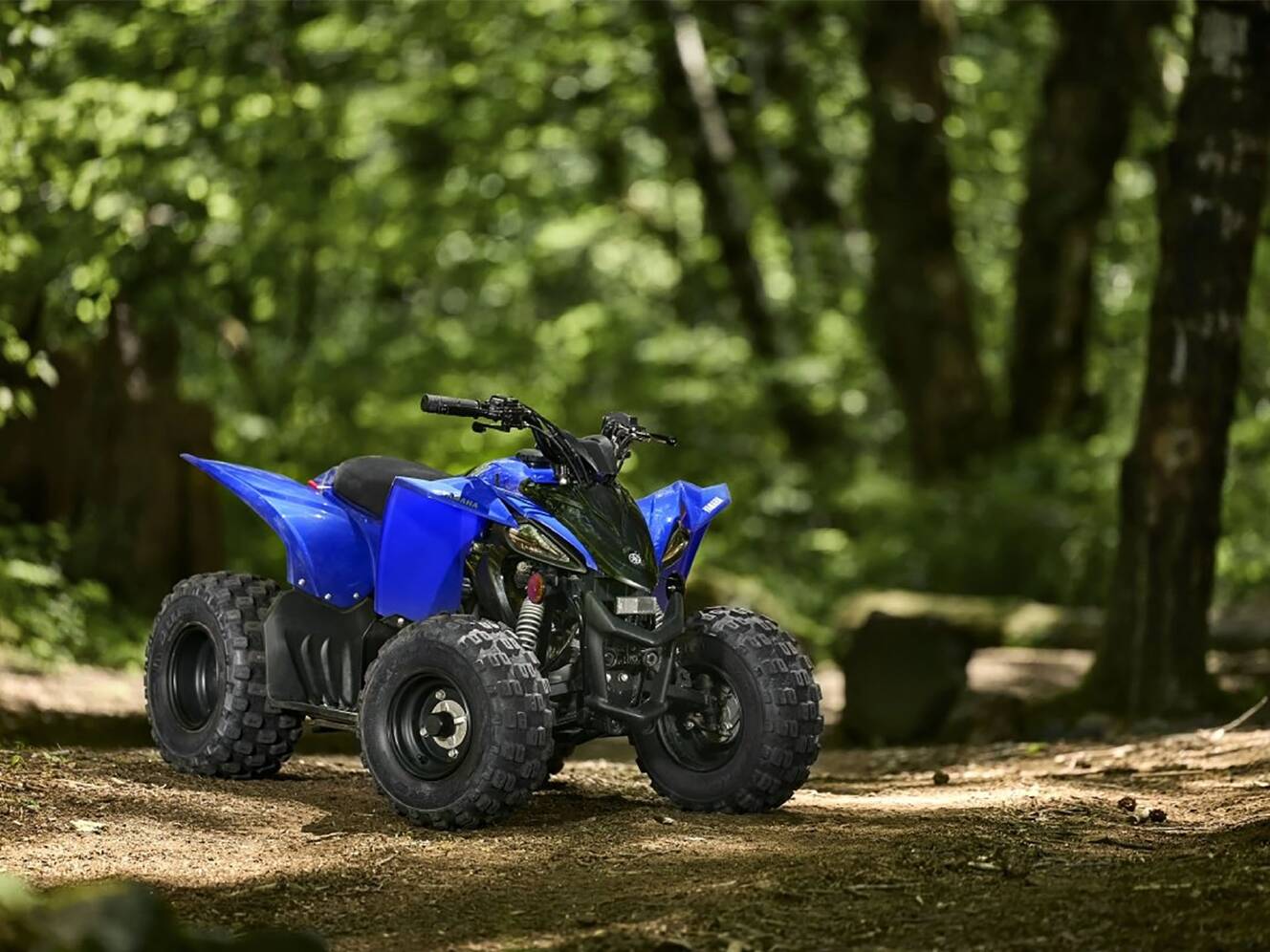 A photo of this 2025 Yamaha YFZ50