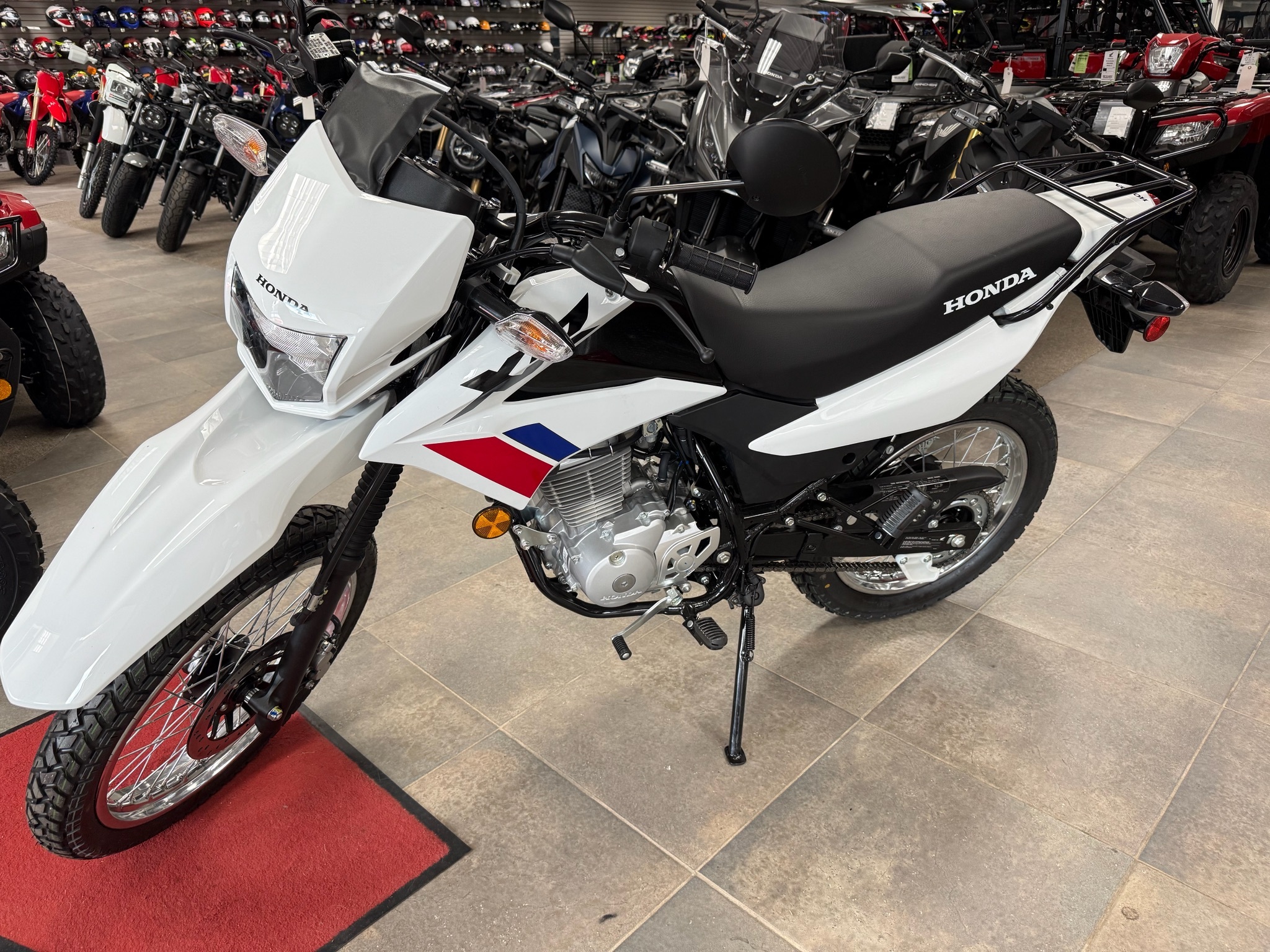 2026 Honda XR150L 150L in Berkeley Springs, WV