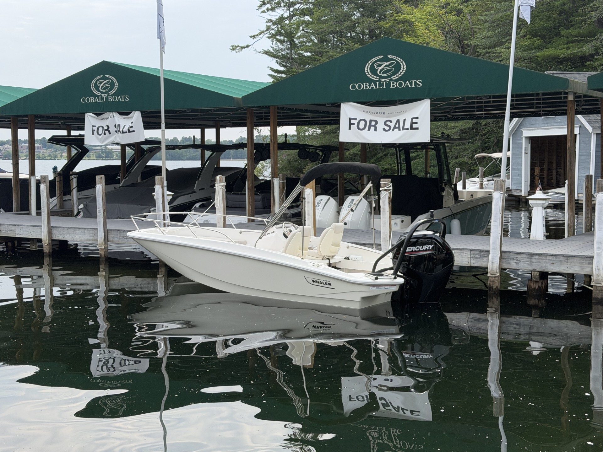 2026 Boston Whaler 16 SPORT 110 in wolfeboro NH