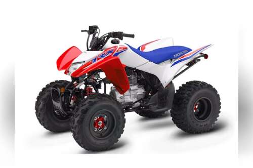 2026 Honda® TRX250X in millstone NJ