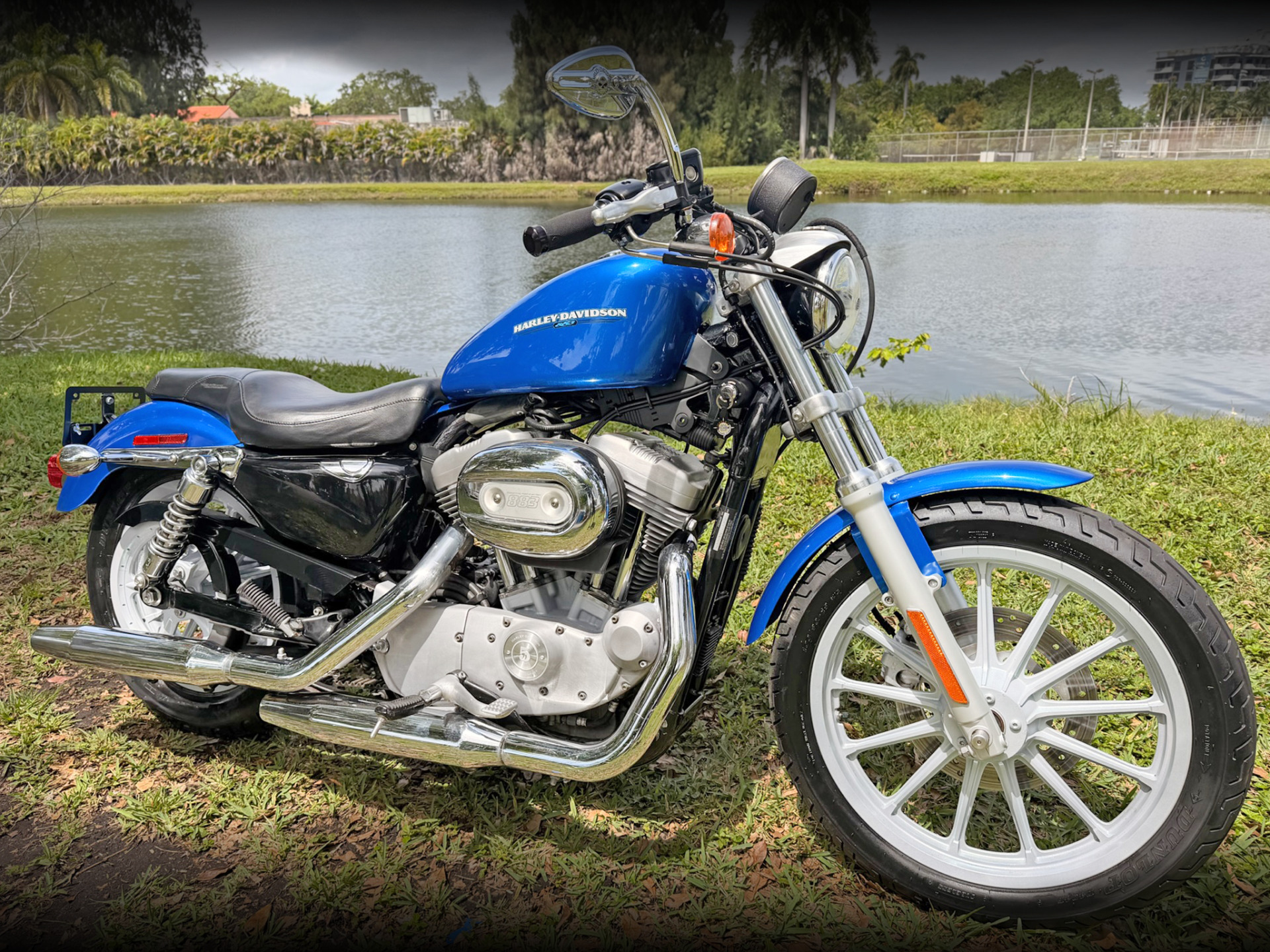 2007 Harley-Davidson Sportster® 883 Low SUPERLOW in North Miami Beach, FL