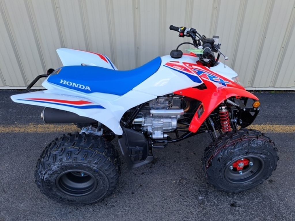 2026 Honda® TRX250X in bridgeport WV