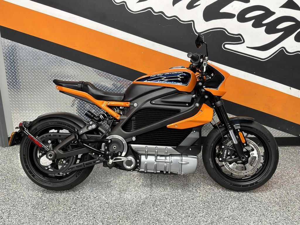 2020 Harley-Davidson® ELW - LiveWire Custom ELW in Denver, CO