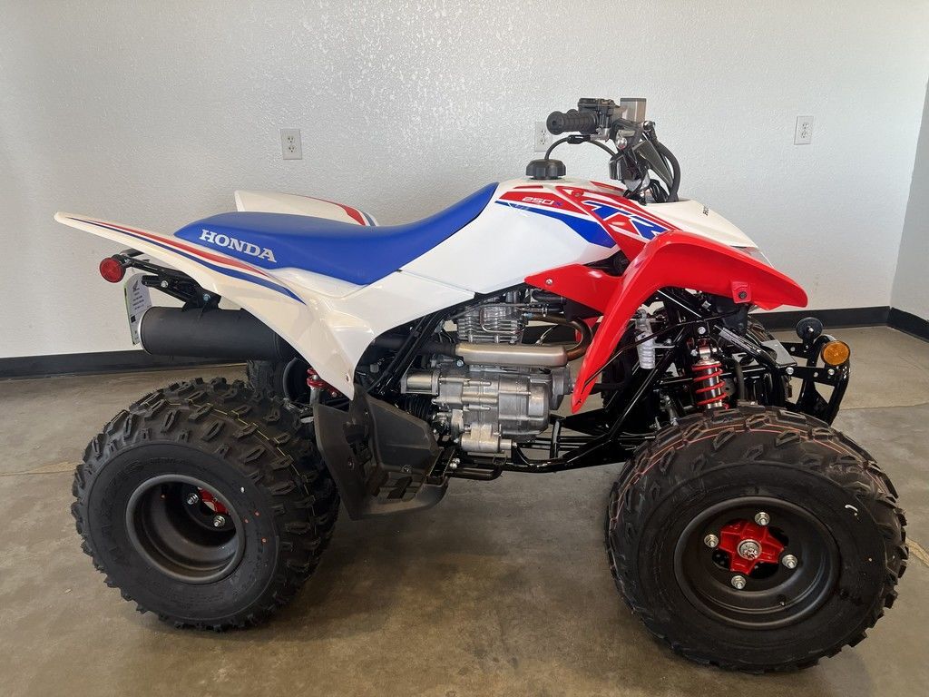 2026 Honda® TRX250X in beaumont TX