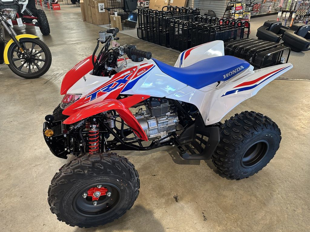 2026 Honda TRX 250X in asheboro NC