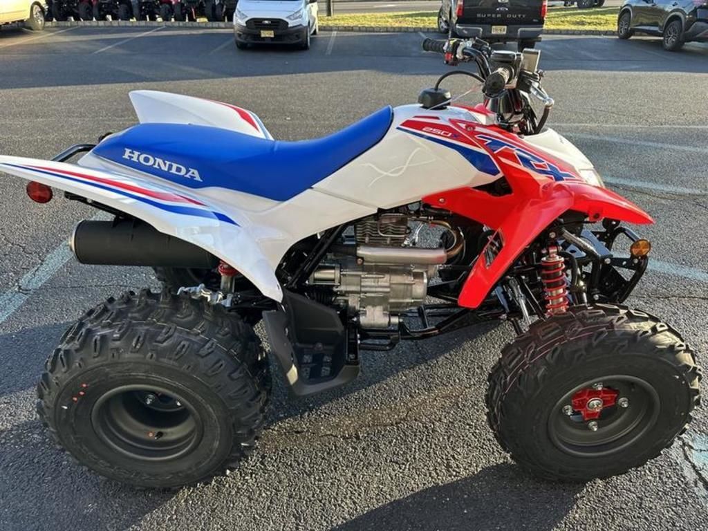 2026 Honda® TRX250X in deptford NJ