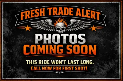 2021 Harley-Davidson Road Glide Limited