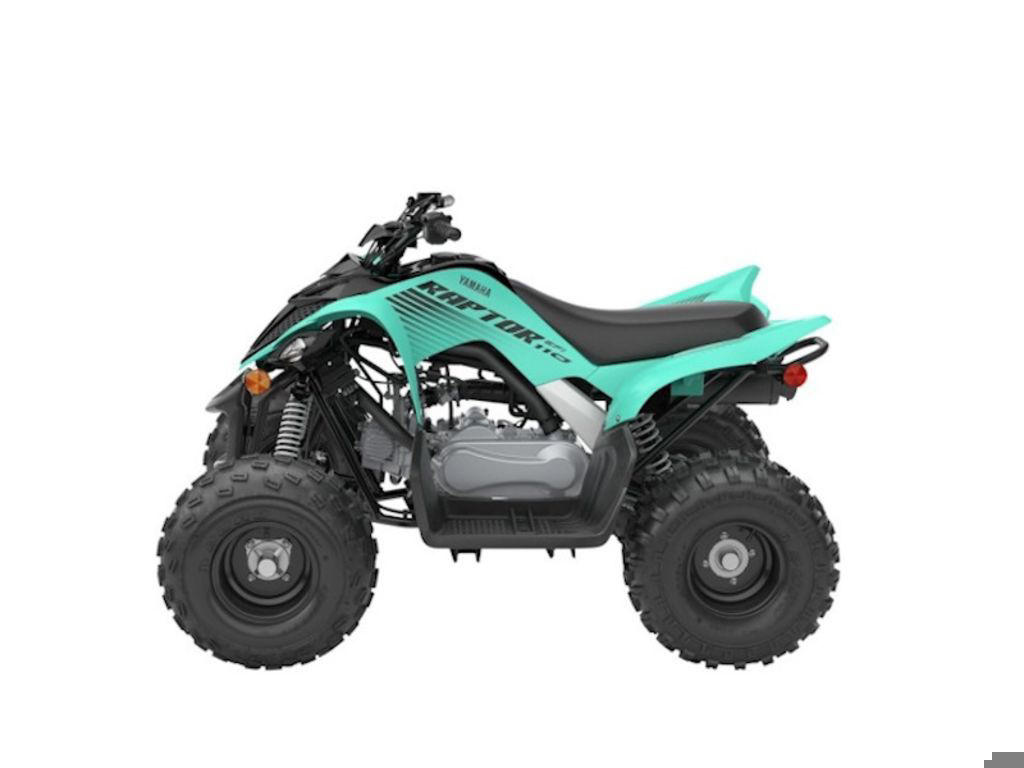 2025 Yamaha Raptor 110 in key largo FL