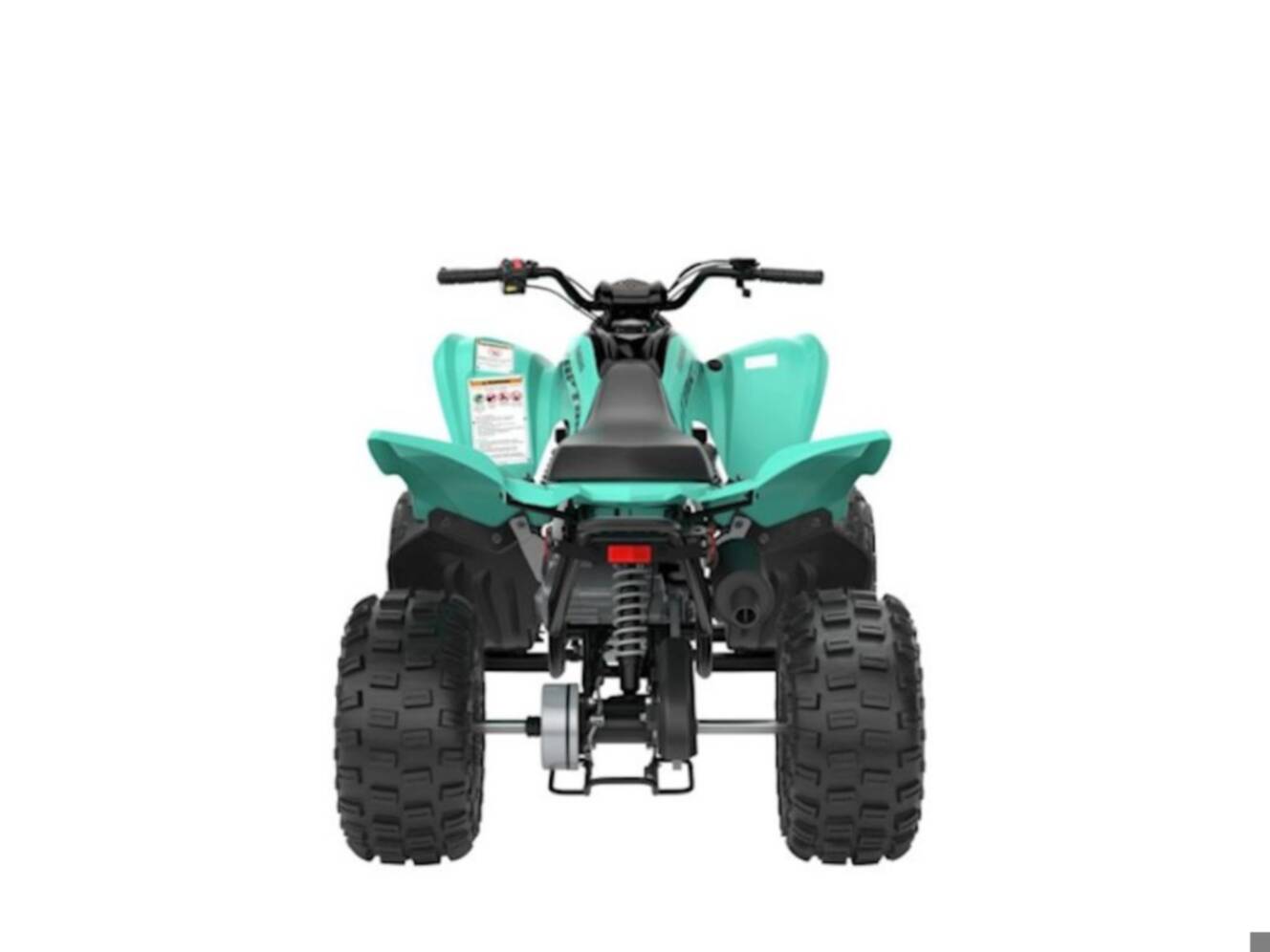 A photo of this 2025 Yamaha Raptor 110