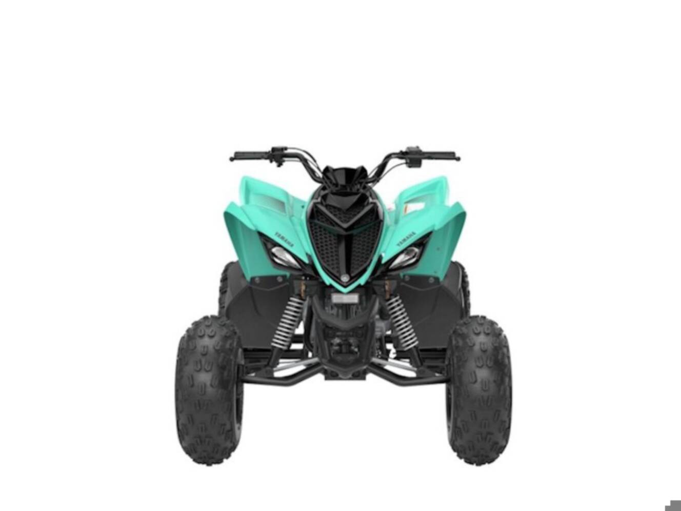 A photo of this 2025 Yamaha Raptor 110