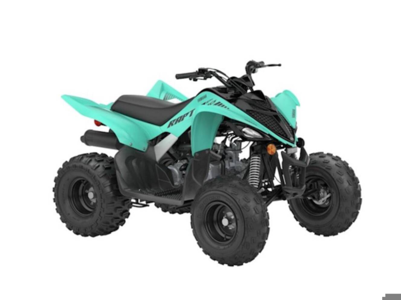 A photo of this 2025 Yamaha Raptor 110