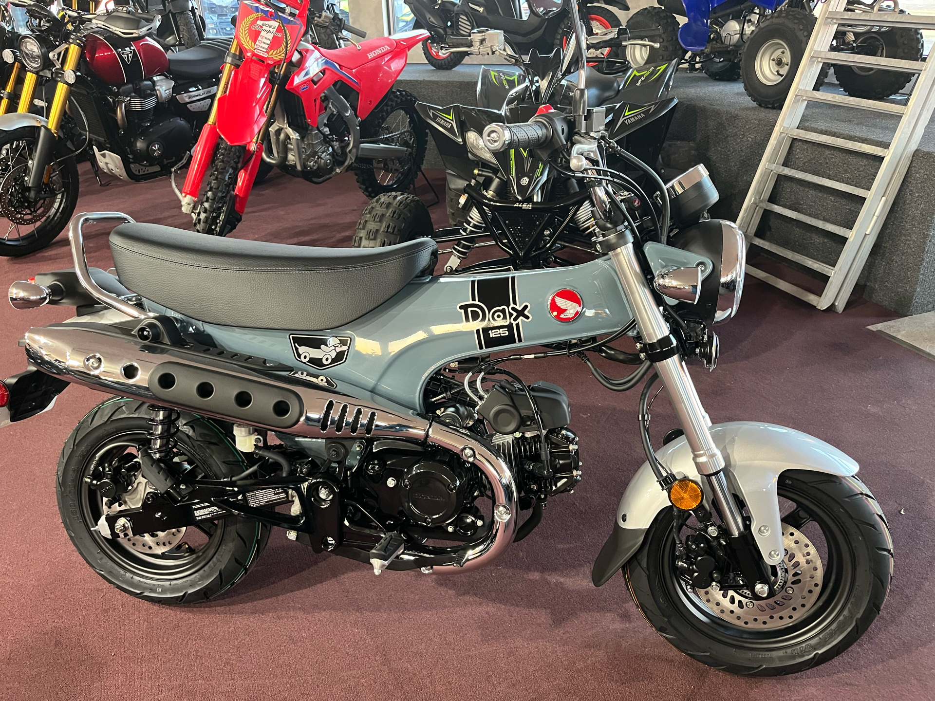 2025 Honda Dax 125 125 in Belle Plaine, MN