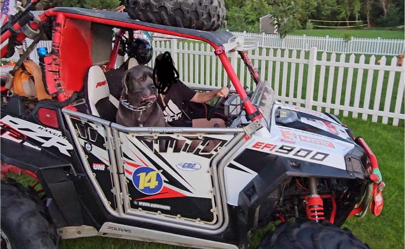 A photo of this 2011 Polaris RZR 900 PREMIUM