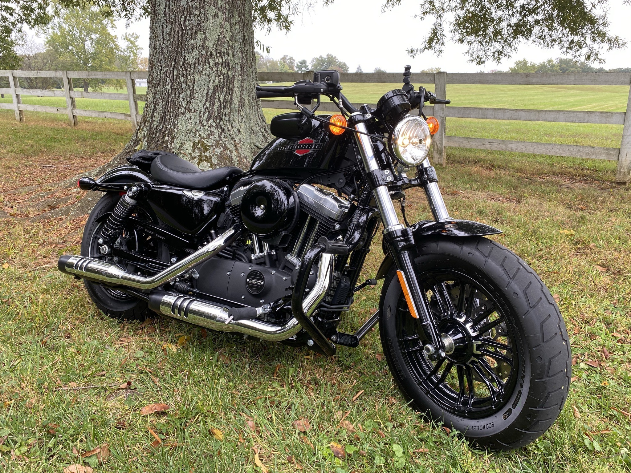 2020 Harley-Davidson FORTY-EIGHT XL1200X XL1200X in Rockville, MD