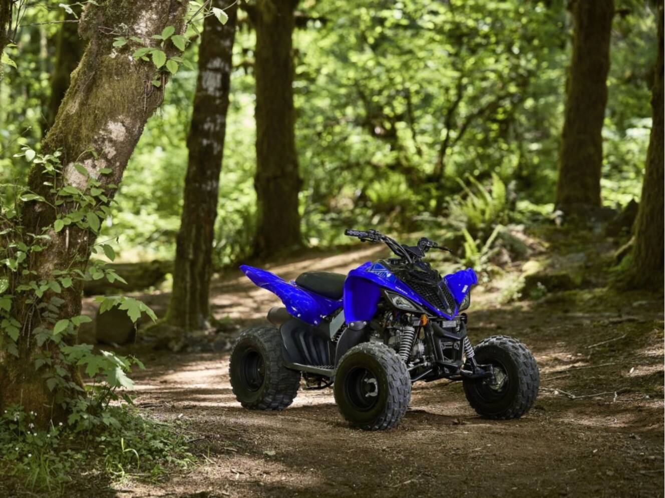 A photo of this 2026 Yamaha Raptor 110