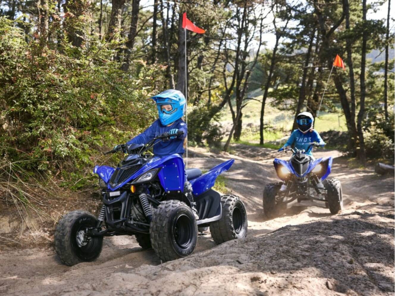 A photo of this 2026 Yamaha Raptor 110
