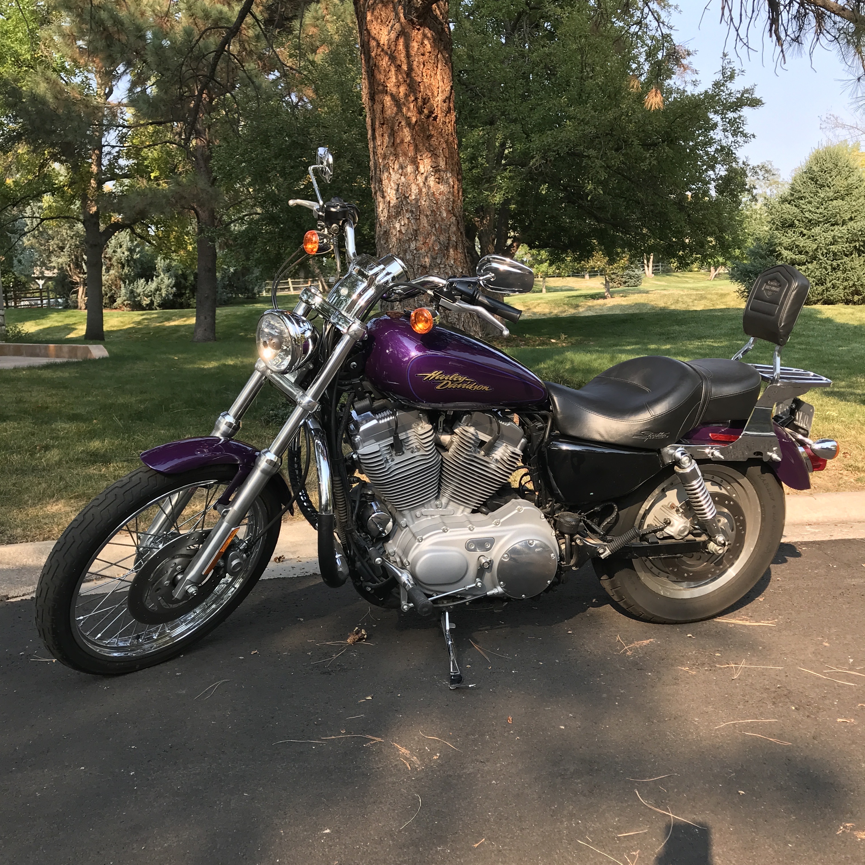 2008 Harley-Davidson SPORTSTER 883 CUSTOM CUSTOM in Wilmington, NC