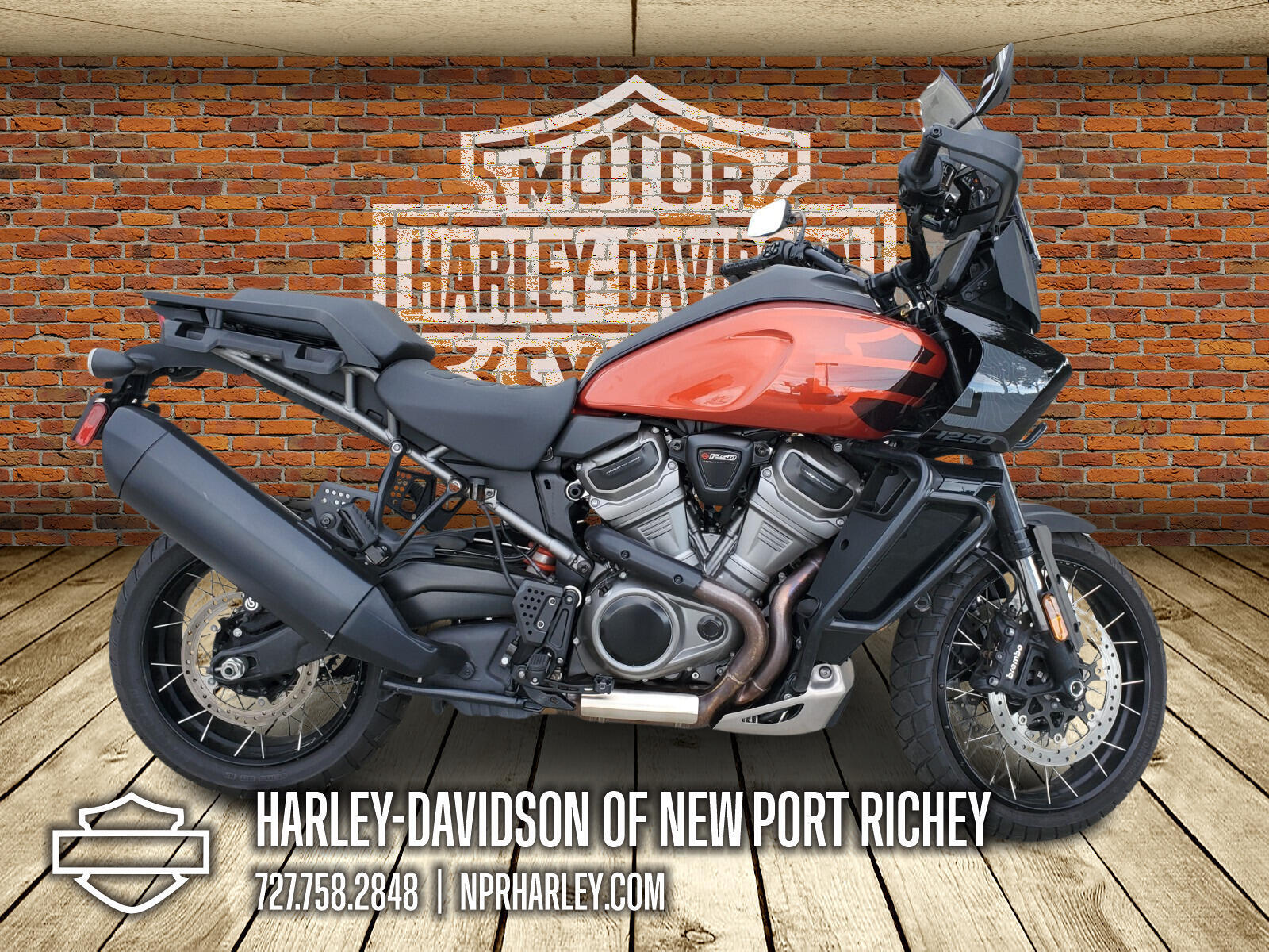 2025 Harley-Davidson Pan America 1250 Special 1250 SPECIAL in New Port Richey, FL