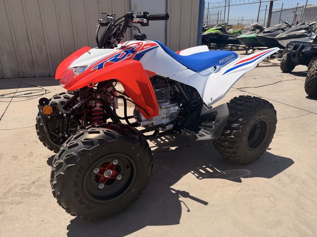 2026 Honda® TRX250X in parker AZ