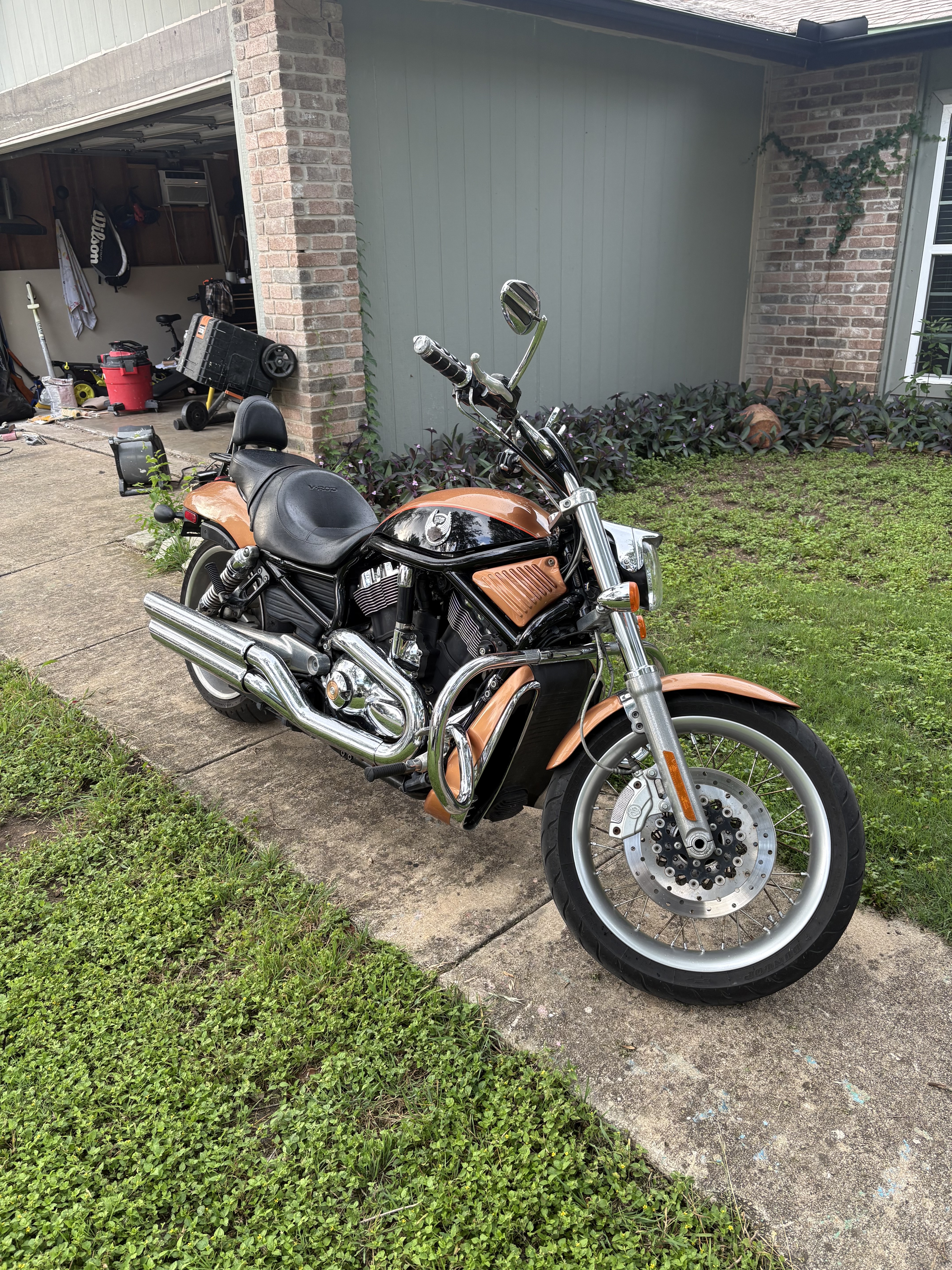 2008 Harley-Davidson V-ROD ANNIVERSARY EDITION ANNIVERSARY EDITION in San Antonio, TX